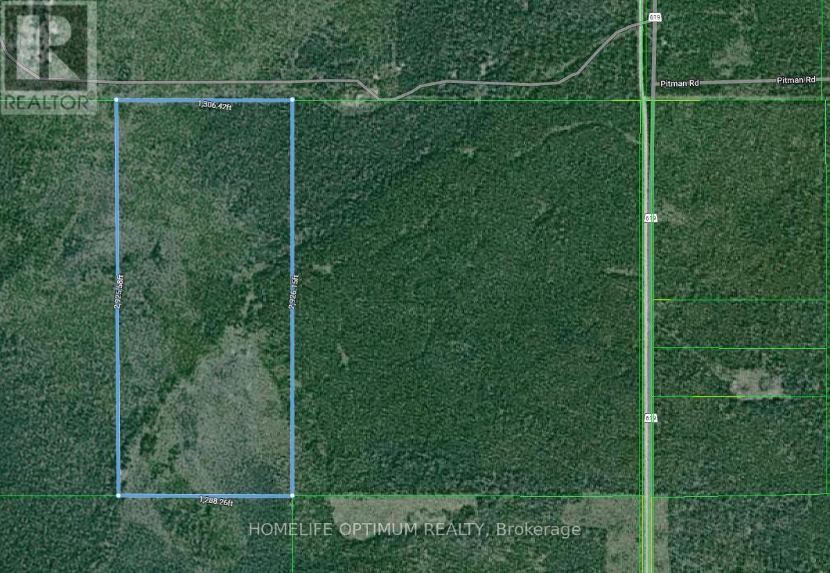 89 ACRES IN TOVELL TOWNSHIP - PCL 14194, Rainy River, Ontario