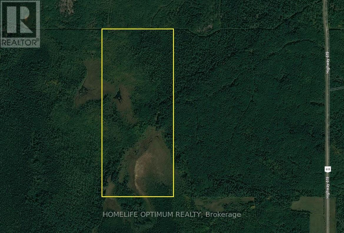 89 Acres In Tovell Township - Pcl 14194, Rainy River, Ontario  P0W 1M0 - Photo 3 - X12668976