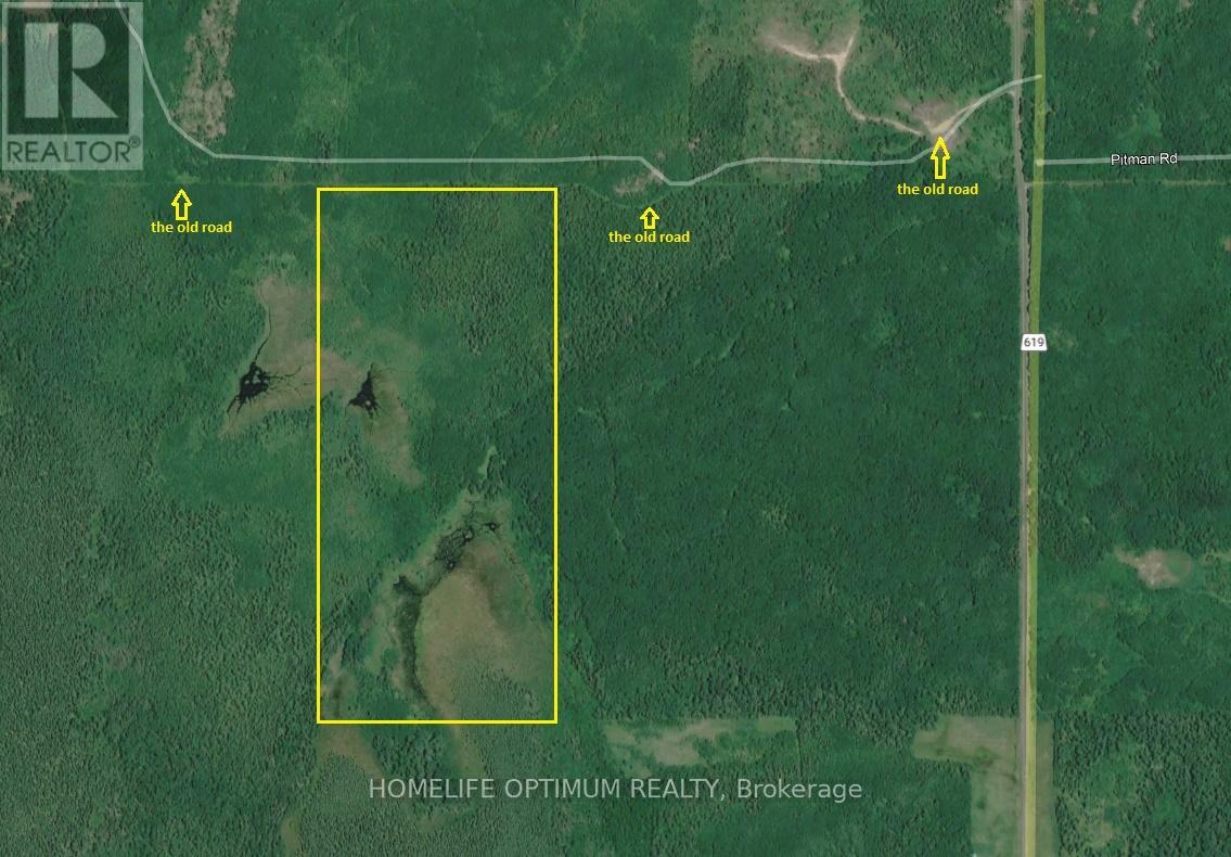 89 Acres In Tovell Township - Pcl 14194, Rainy River, Ontario  P0W 1M0 - Photo 5 - X12668976