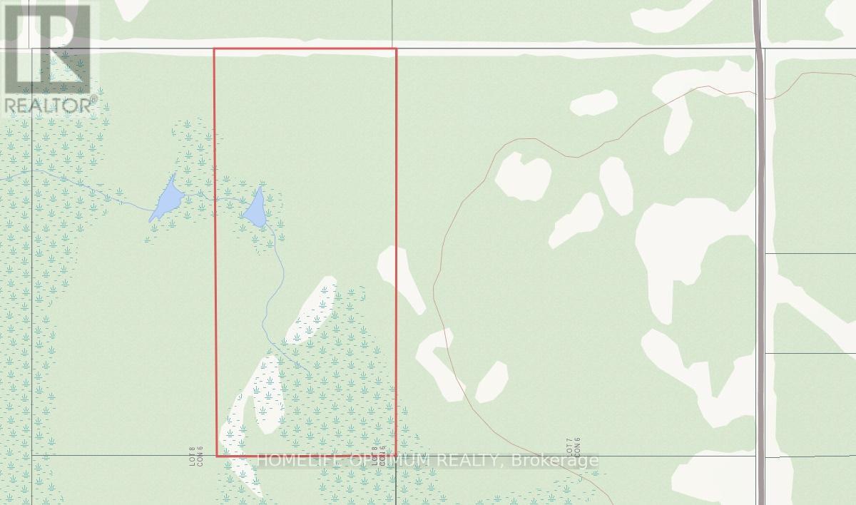 89 Acres In Tovell Township - Pcl 14194, Rainy River, Ontario  P0W 1M0 - Photo 4 - X12668984