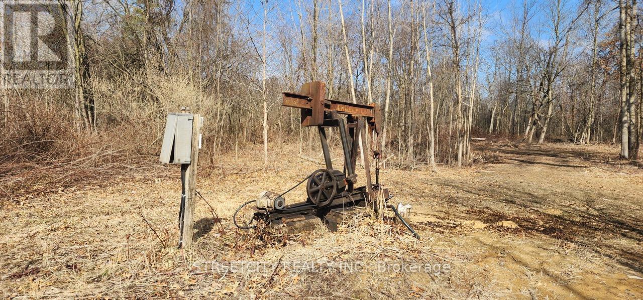 29771 Zone Road, Chatham-Kent (Bothwell), Ontario  N0P 1C0 - Photo 10 - X12669206