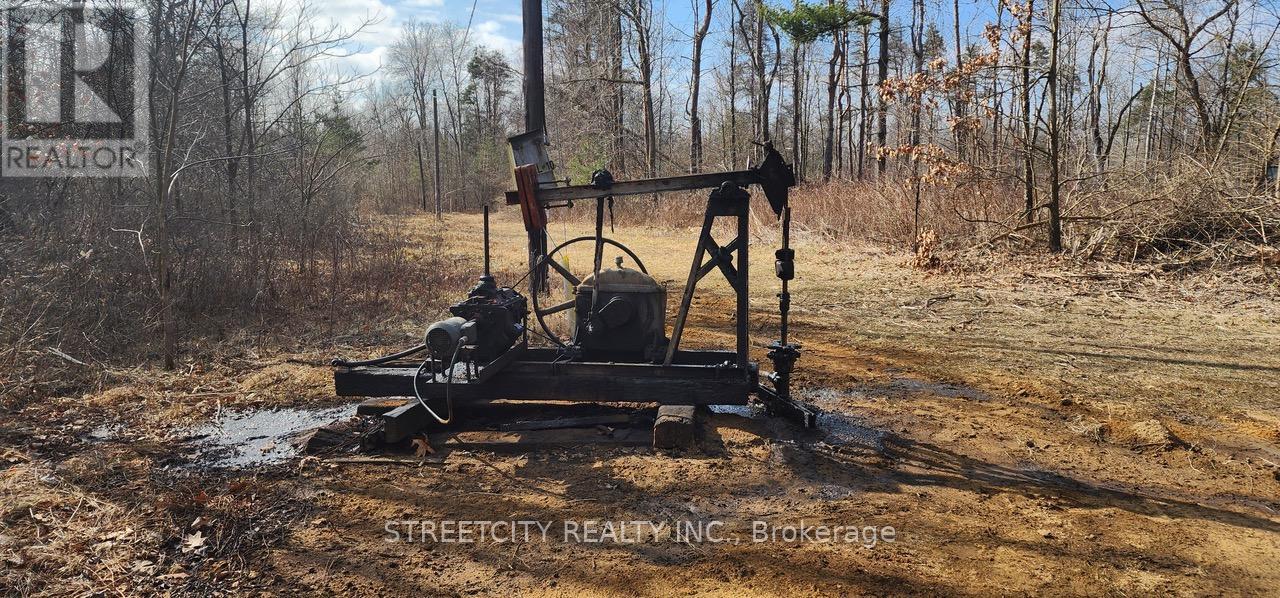 29771 Zone Road, Chatham-Kent (Bothwell), Ontario  N0P 1C0 - Photo 11 - X12669206