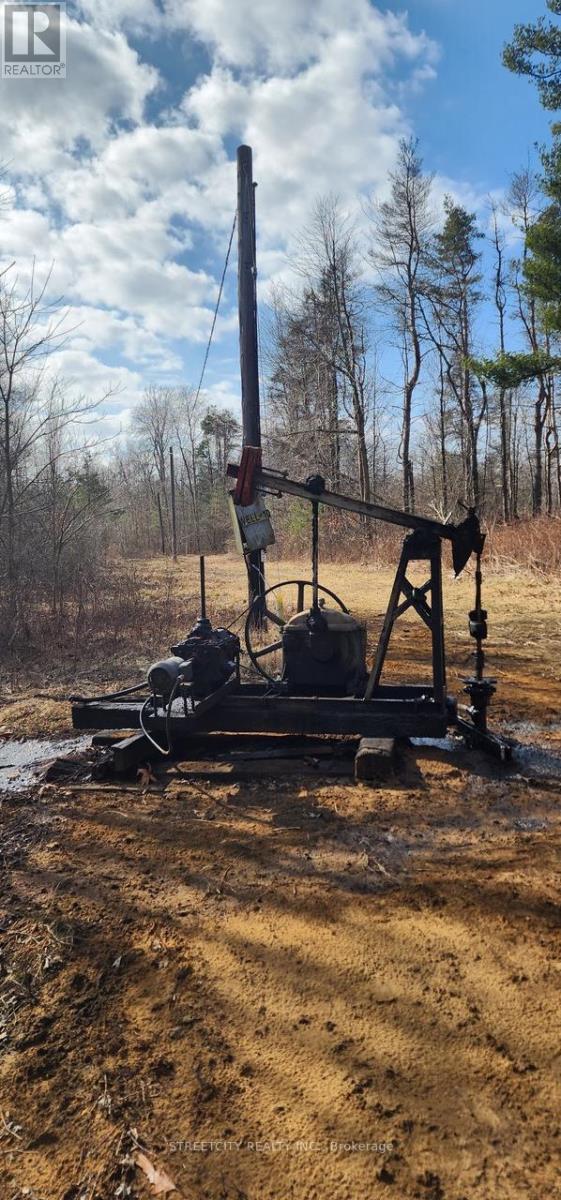 29771 Zone Road, Chatham-Kent (Bothwell), Ontario  N0P 1C0 - Photo 12 - X12669206