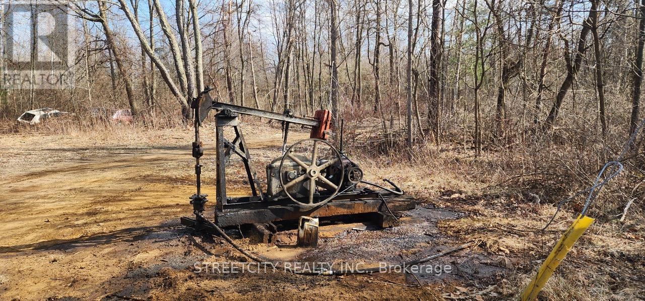 29771 Zone Road, Chatham-Kent (Bothwell), Ontario  N0P 1C0 - Photo 9 - X12669206