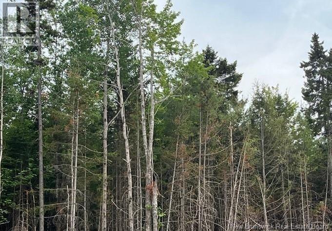 Lot 24-05 Chultun Court, Lower Coverdale, New Brunswick  E1J 1E5 - Photo 1 - NB131759
