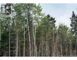Lot 24-05 Chultun Court, lower coverdale, New Brunswick