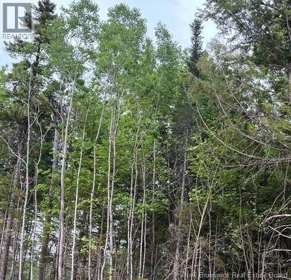 24-02 Chultun Court, Lower Coverdale, New Brunswick E1J 1E5 - Photo 1 - NB131755