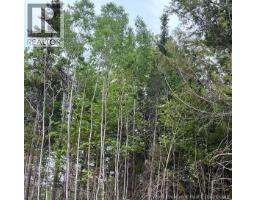 24-02 Chultun Court, lower coverdale, New Brunswick