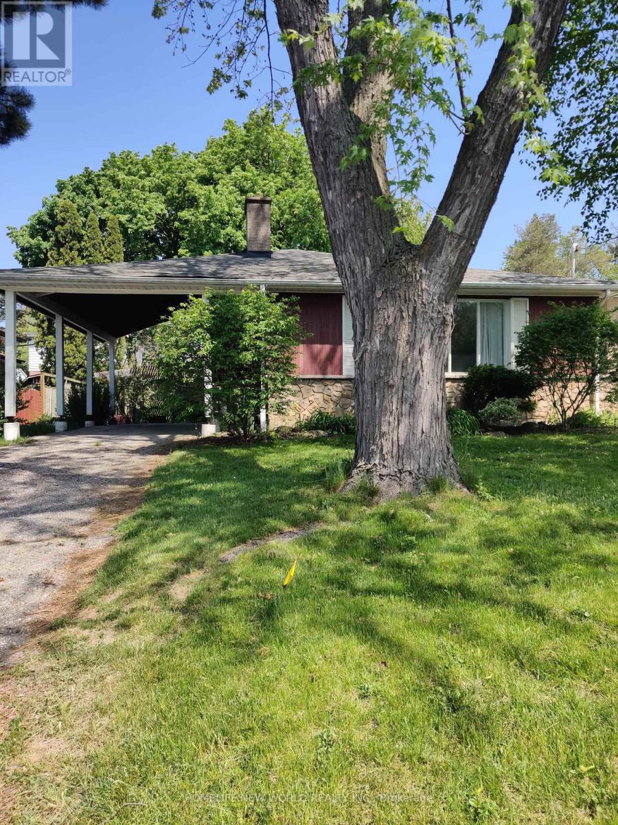 Lower - 34 Kingland Crescent, Toronto, Ontario  M2J 2B7 - Photo 9 - C12669204