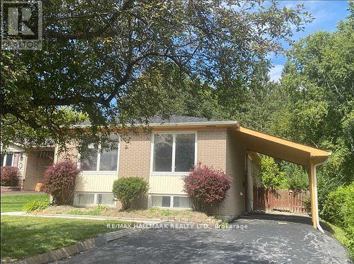 MAIN - 331 ROYWOOD CRESCENT, Newmarket, Ontario