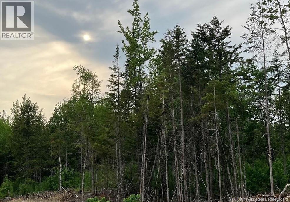 24-01 Chultun Court, Lower Coverdale, New Brunswick E1J 1E5 - Photo 1 - NB131763