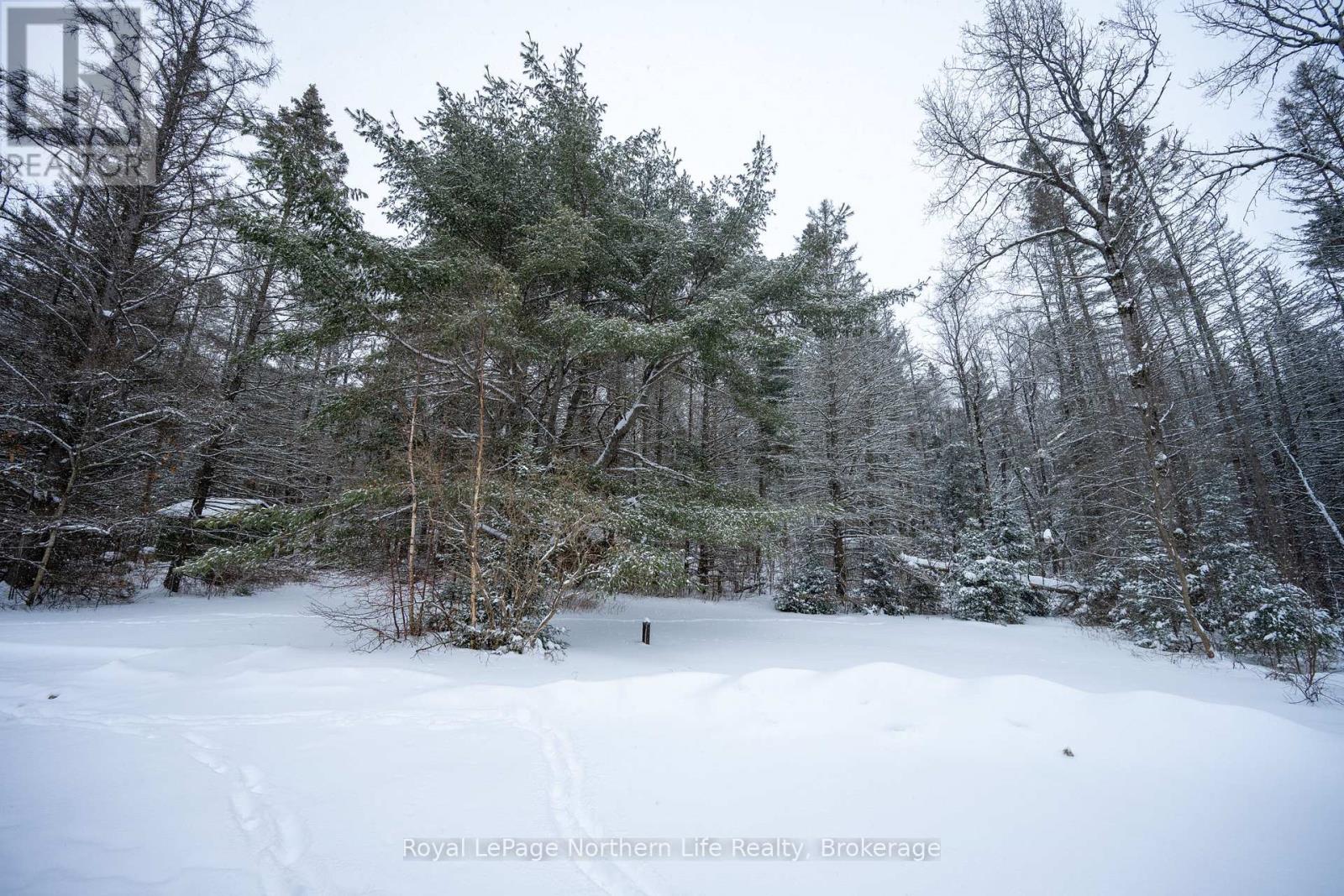 126 Highway 531, Bonfield, Ontario  P0H 1E0 - Photo 34 - X12663974