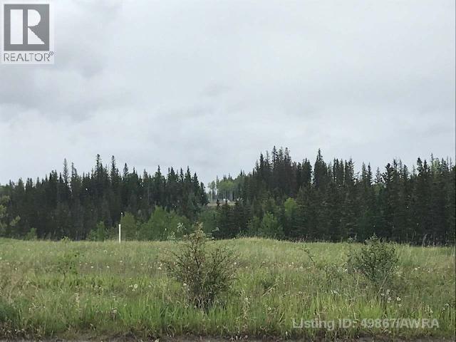 126 Felaber Road, Hinton, Alberta  T7V 1Z8 - Photo 5 - A2257601