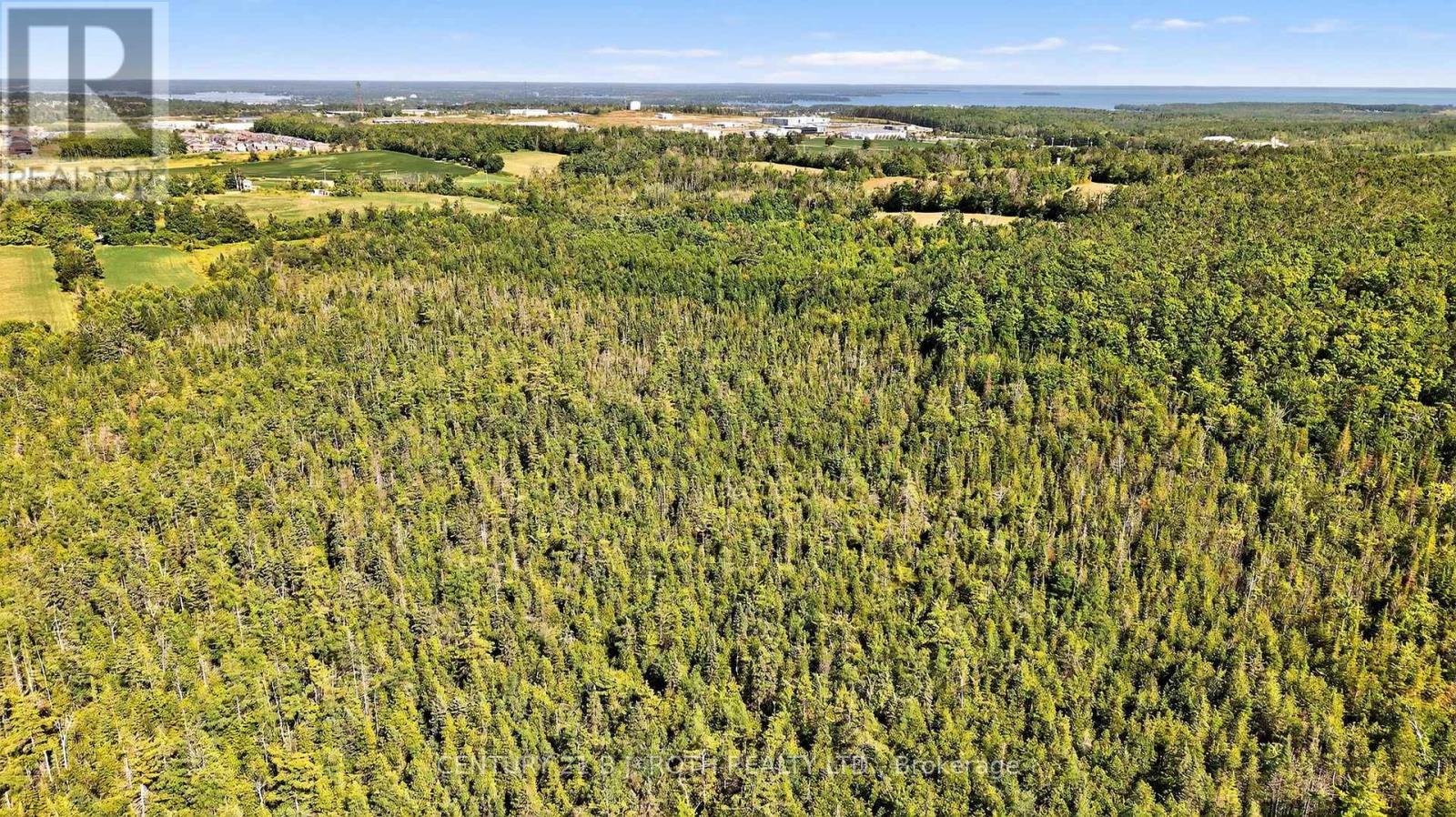 850 15 Line N, Oro-Medonte, Ontario  L3V 6H1 - Photo 11 - S12355635