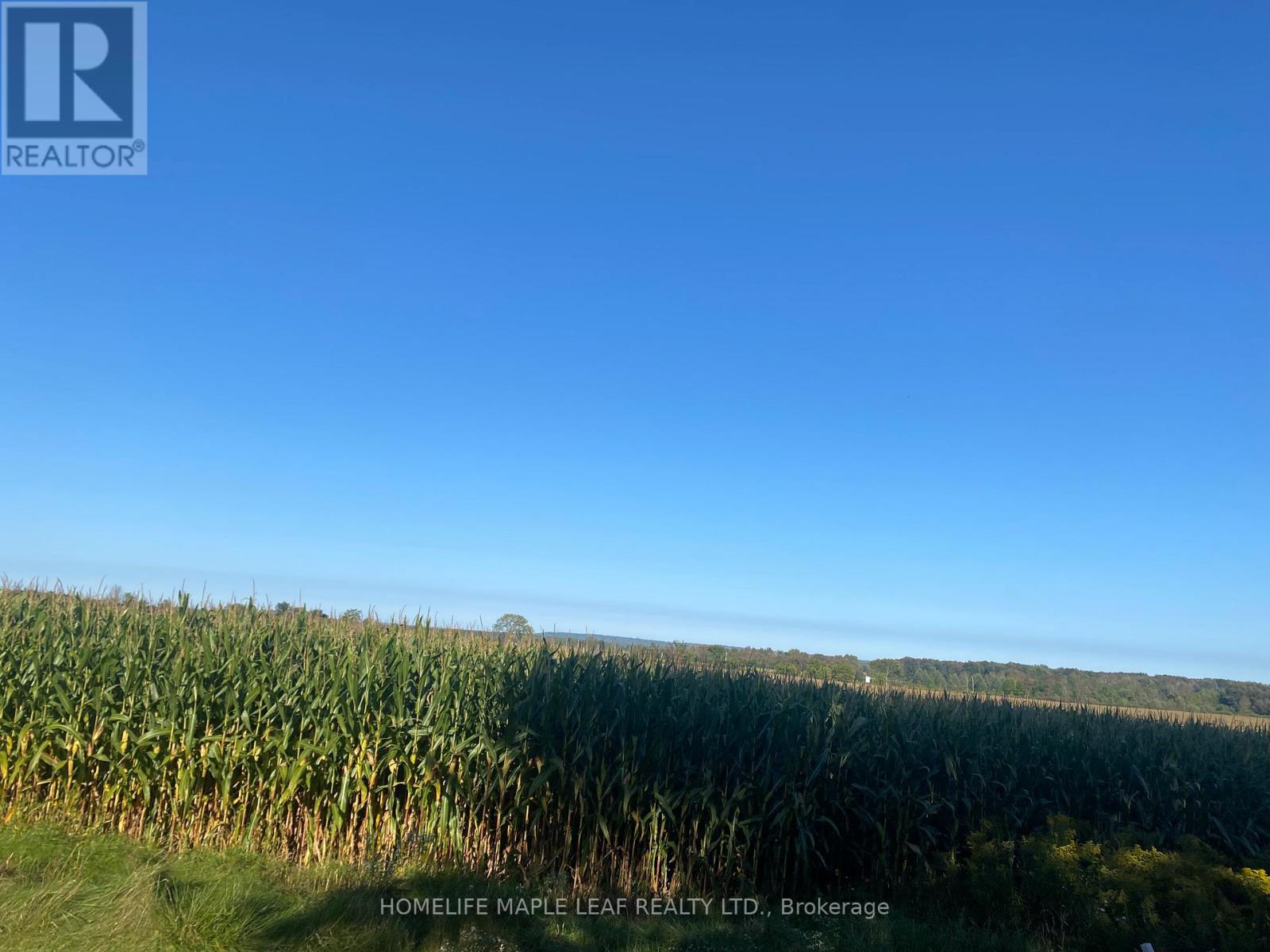 3501 Mccarthy Drive, Clearview, Ontario  L0M 1N0 - Photo 36 - S12533920