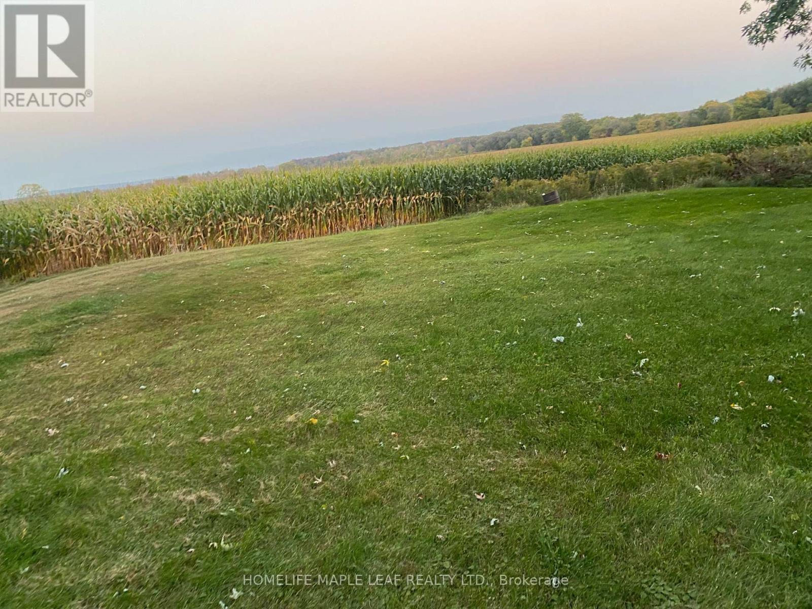 3501 Mccarthy Drive, Clearview, Ontario  L0M 1N0 - Photo 40 - S12533920