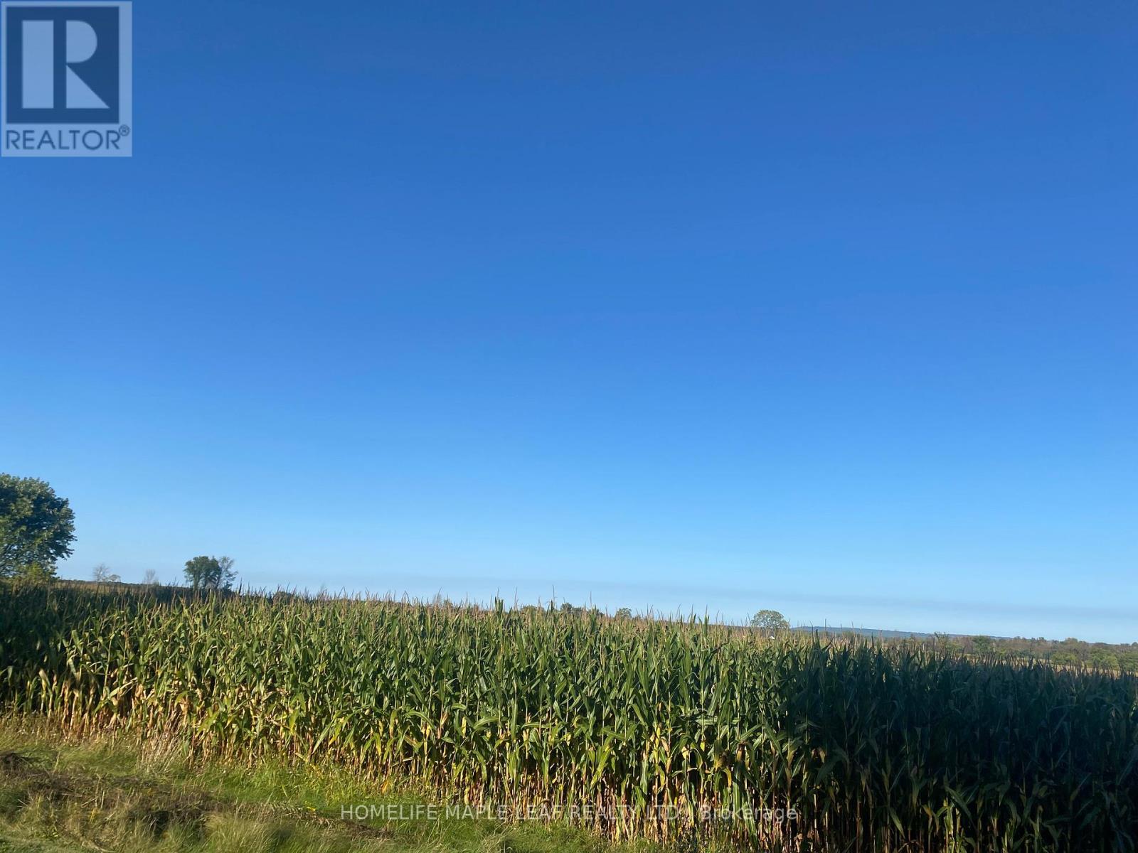 3501 Mccarthy Drive, Clearview, Ontario  L0M 1N0 - Photo 37 - S12533920