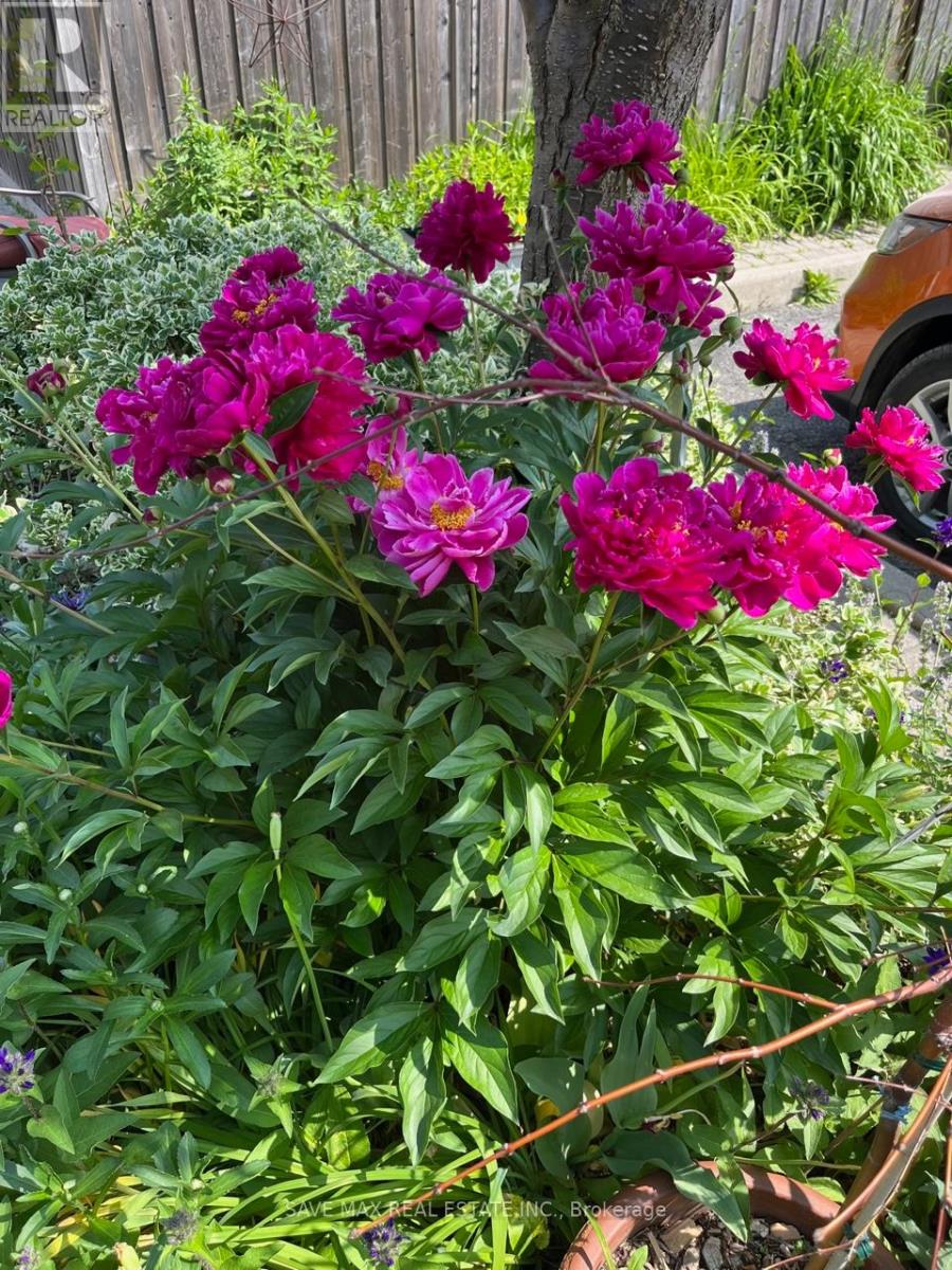 13 Pressed Brick Drive, Brampton, Ontario  L6V 4K8 - Photo 48 - W12659396