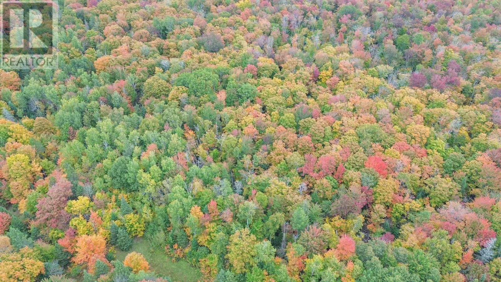 2542 Hilton Rd, Hilton Beach, Ontario P0R 1J0 - Photo 15 - SM260033