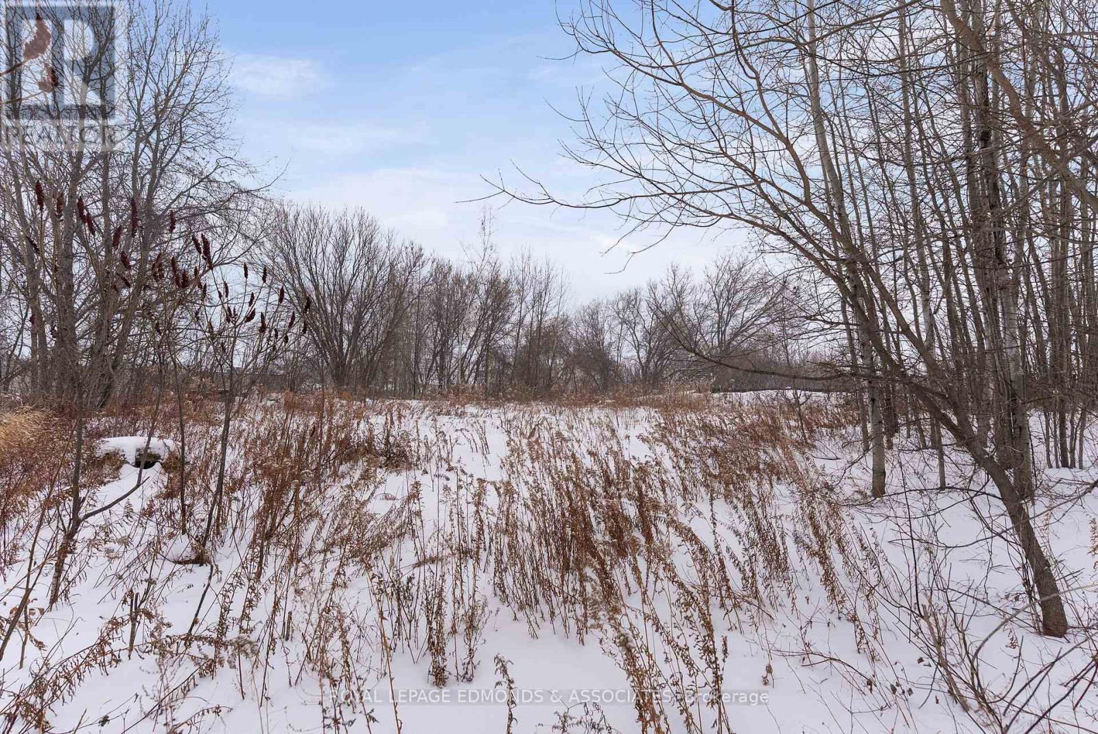 0 Matheson Drive, Pembroke, Ontario  K8A 8S5 - Photo 10 - X12669734