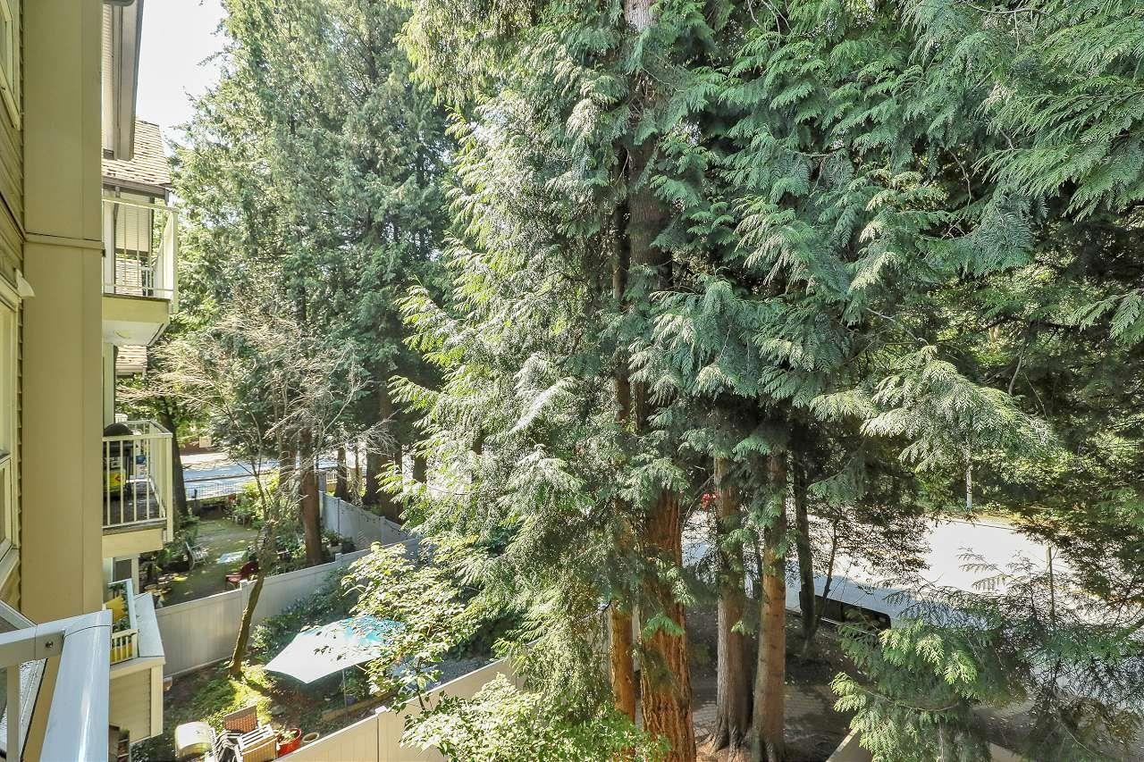 309 9626 148 Street, Surrey, British Columbia V3R 0W2 - Photo 21 - R3075679