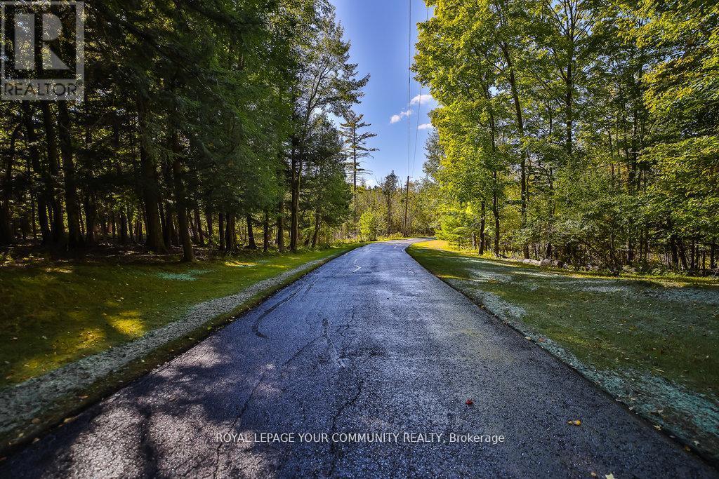 8339 Finnerty Side Road, Caledon, Ontario  L0N 1E0 - Photo 45 - W12669798
