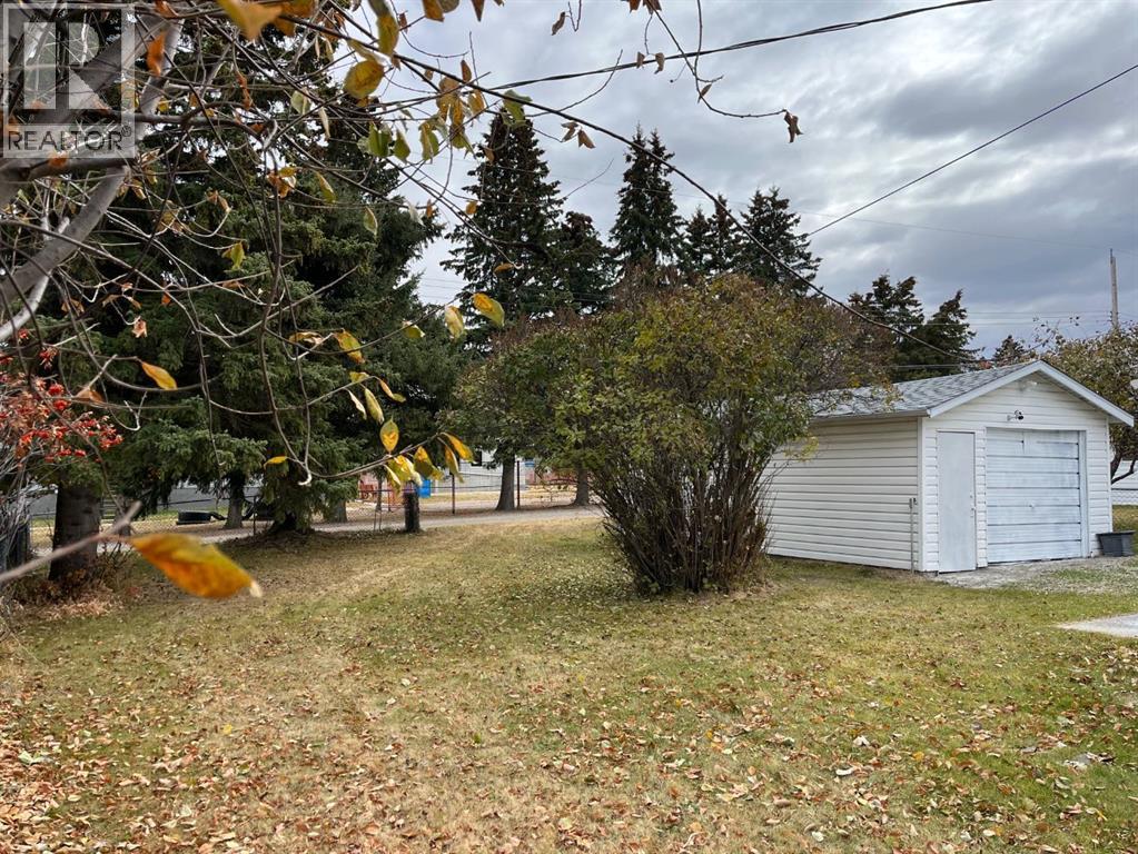 5407 53 Street, Rocky Mountain House, Alberta  T4T 1G9 - Photo 3 - A2267127