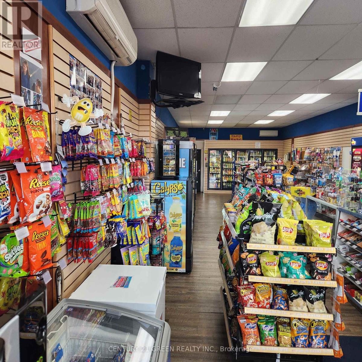 3 - 136 Guelph Street, Halton Hills, Ontario  L7G 4A5 - Photo 10 - W12666368