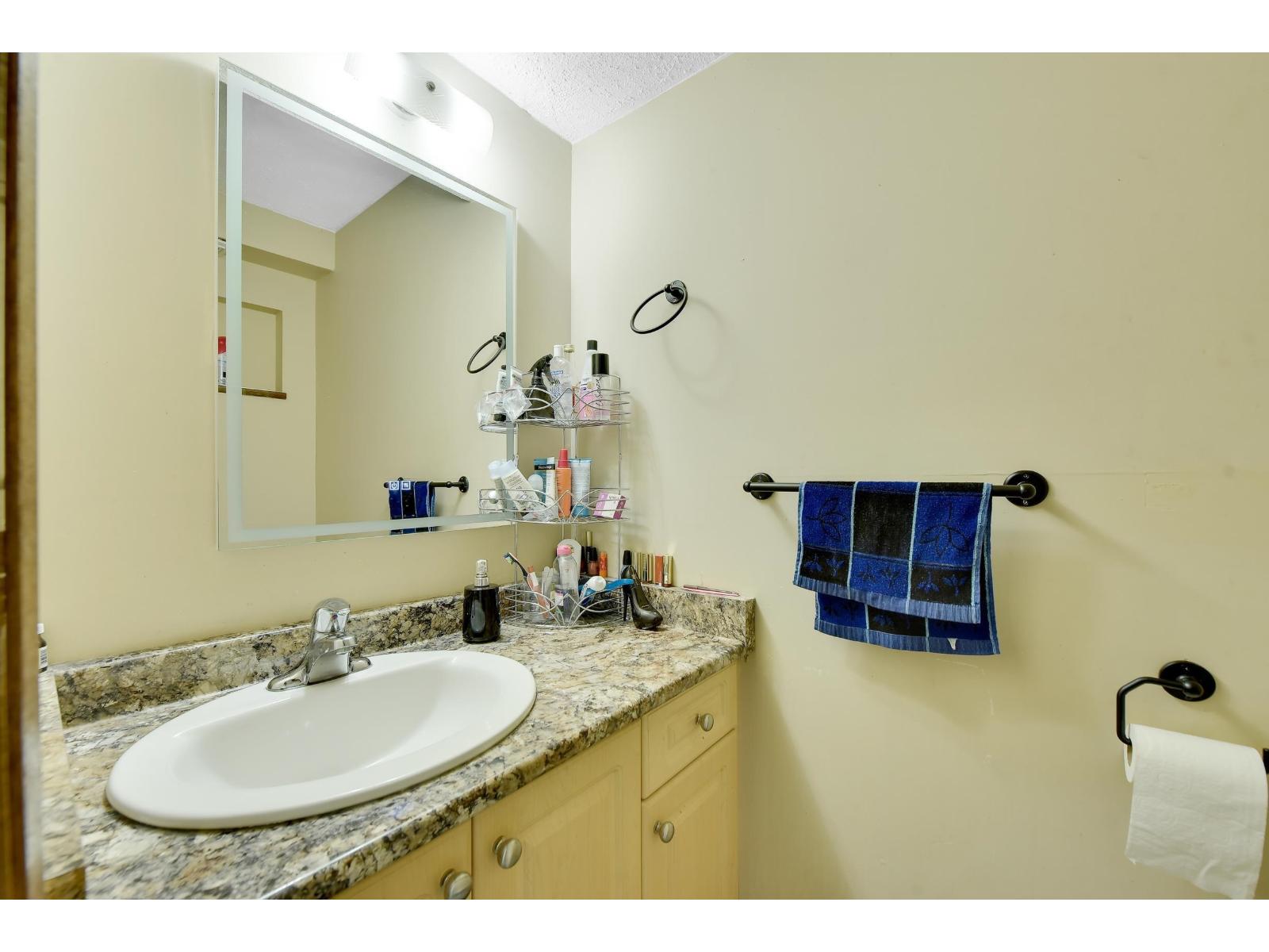 7390 129 Street, Surrey, British Columbia  V3W 7B8 - Photo 16 - R3076676