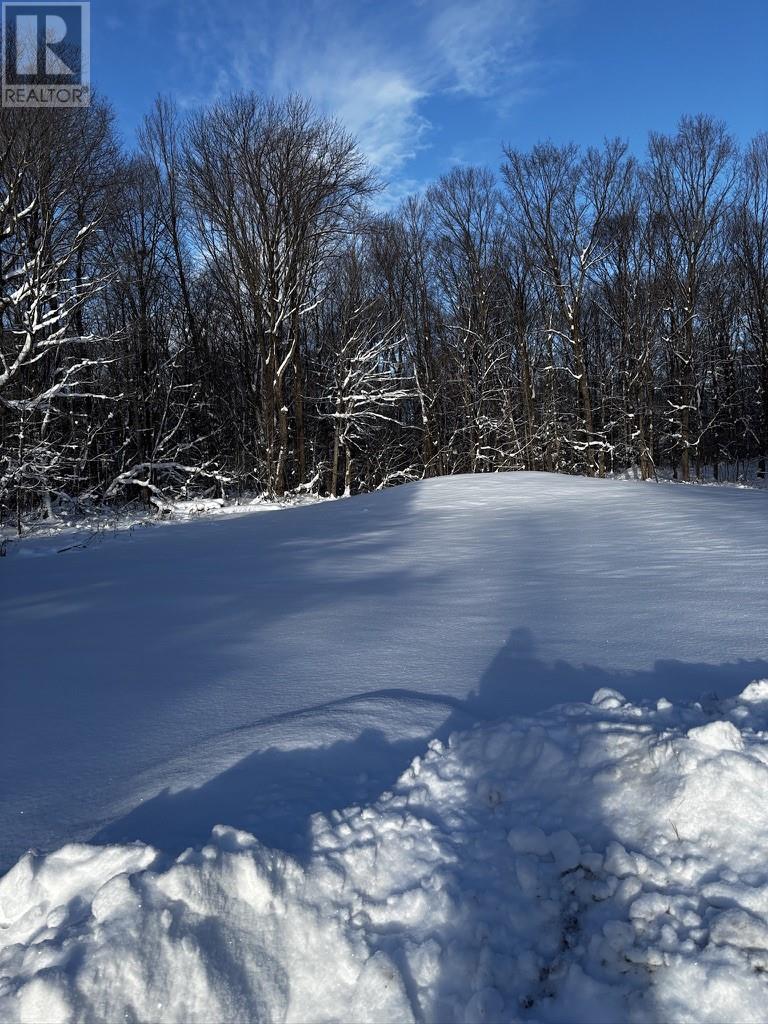 767 Main Street, Monetville, Ontario  P0M 2K0 - Photo 41 - 2125960