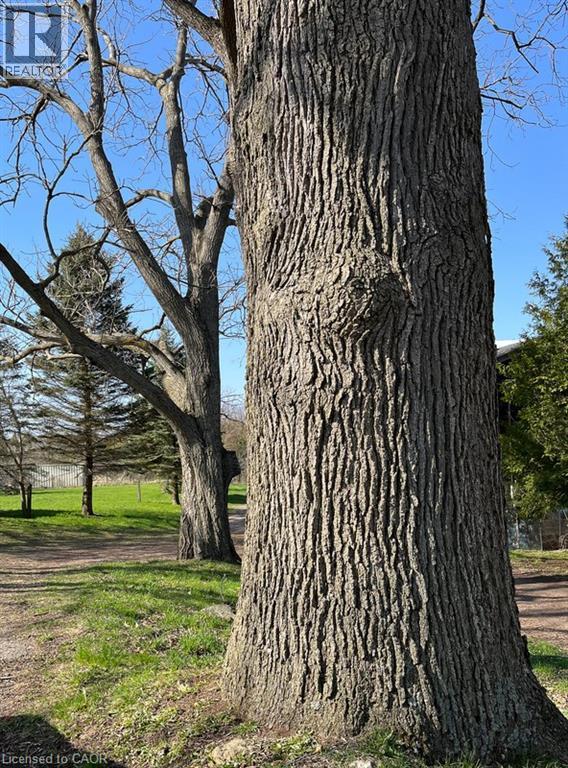 1457 97 Regional Road, Hamilton, Ontario  L9H 5E3 - Photo 20 - 40796494