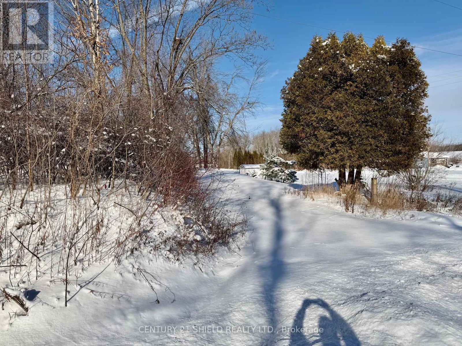 16403 County Rd 36 Road, South Stormont, Ontario  K0C 1P0 - Photo 4 - X12670364