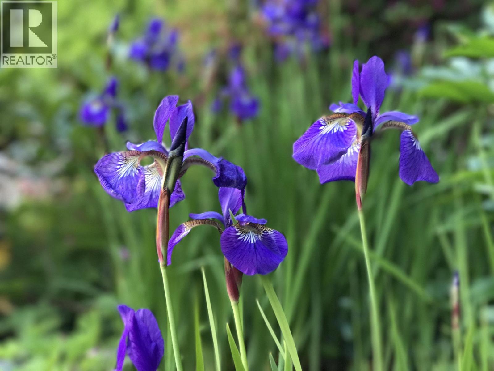 2825 Nash Drive, Coquitlam, British Columbia  V3B 6T1 - Photo 37 - R3076849