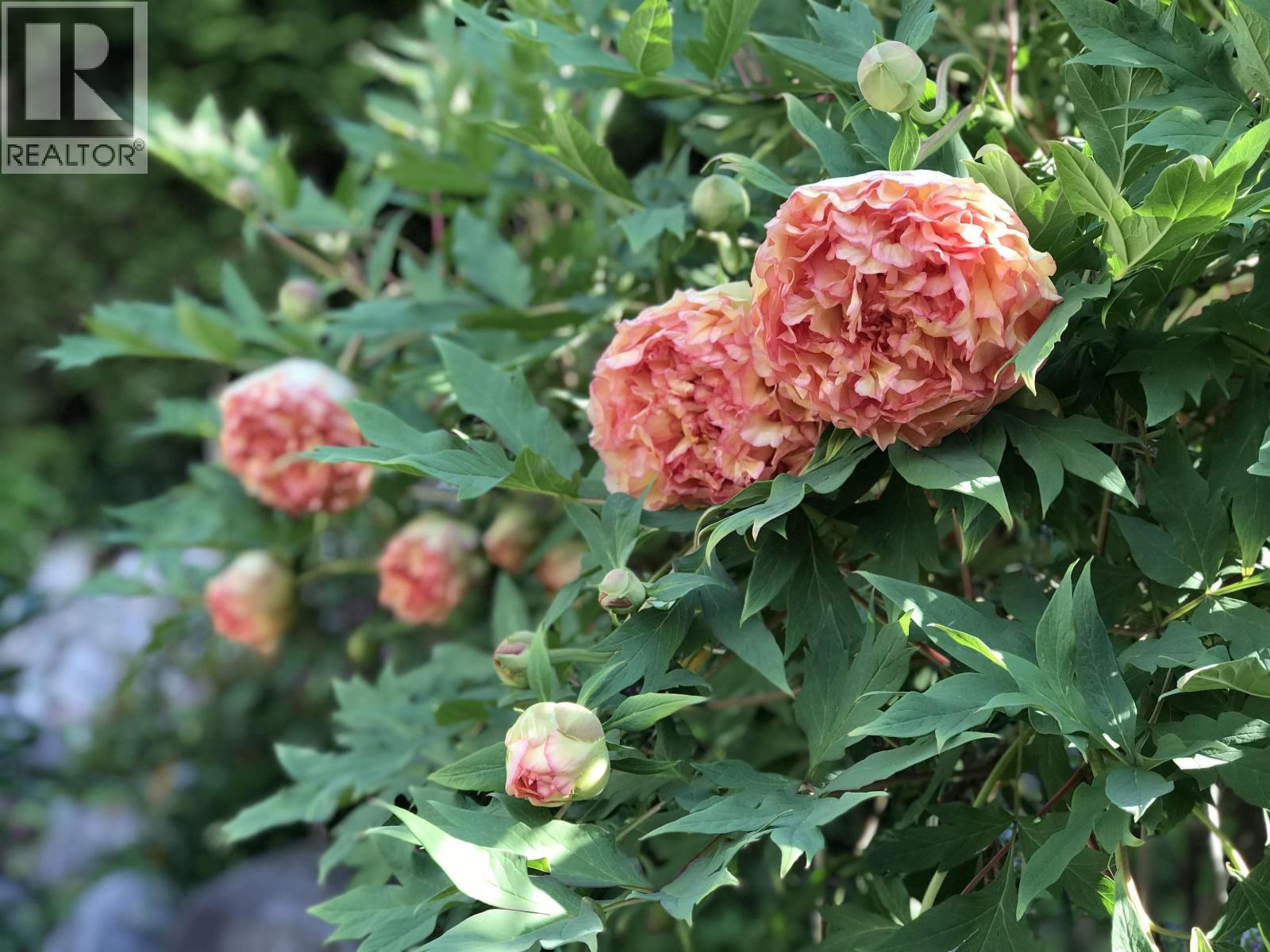 2825 Nash Drive, Coquitlam, British Columbia  V3B 6T1 - Photo 38 - R3076849