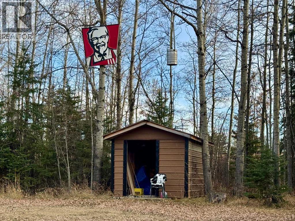 51017 A Highway 598, Rural Clearwater County, Alberta  T0M 1H0 - Photo 32 - A2267605