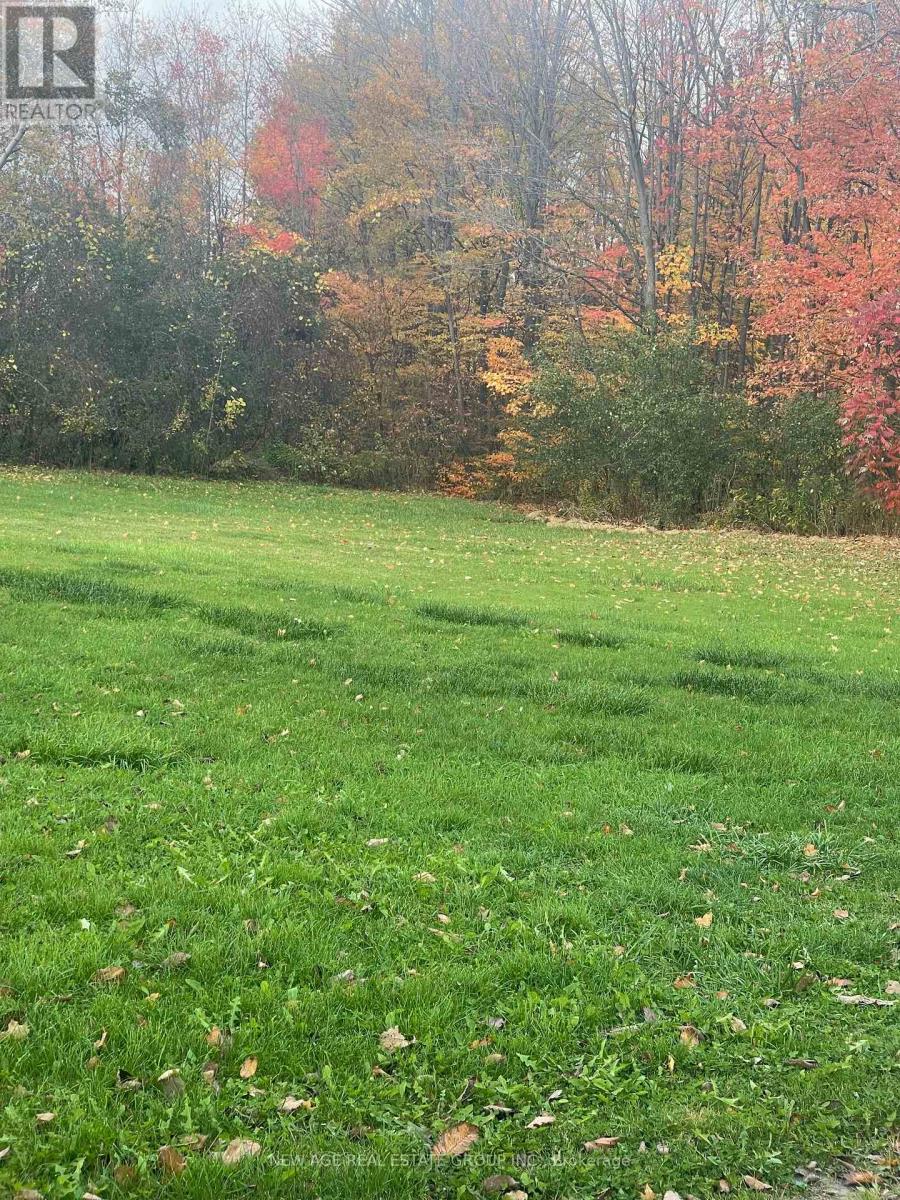 14726 Caledon King Townline Line, Caledon, Ontario  L7E 5R7 - Photo 2 - W12670520