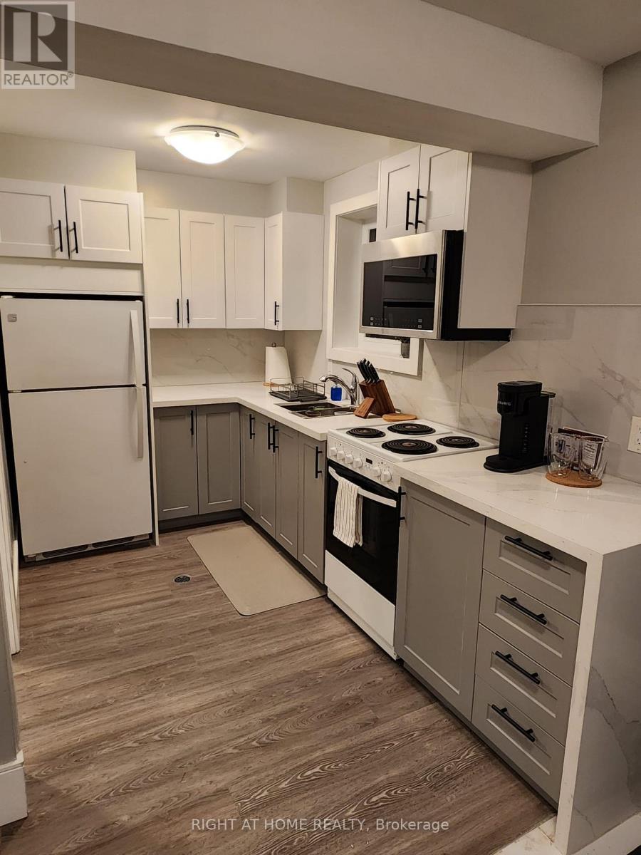 Basement - 425 Cobblehill Drive, Oshawa, Ontario  L1K 1Y6 - Photo 2 - E12670646