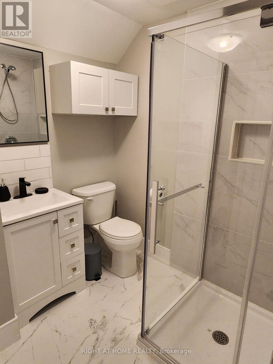 Basement - 425 Cobblehill Drive, Oshawa, Ontario  L1K 1Y6 - Photo 5 - E12670646