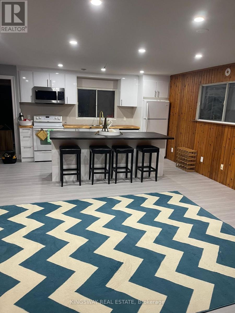 2038 St Johns Road, Innisfil, Ontario  L9S 1V4 - Photo 10 - N12670628