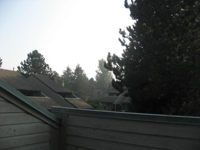 1907 Lilac Drive, Surrey, British Columbia  V4A 6C7 - Photo 15 - R3076770