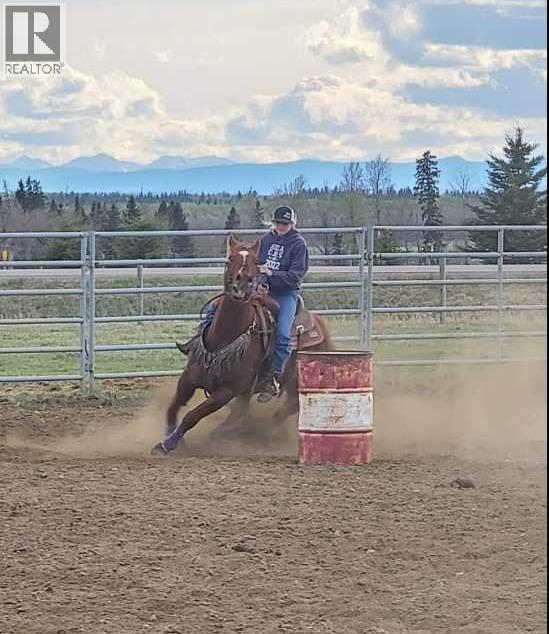 390039 Range Road 5-4, Rural Clearwater County, Alberta  T0M 0C0 - Photo 42 - A2100749