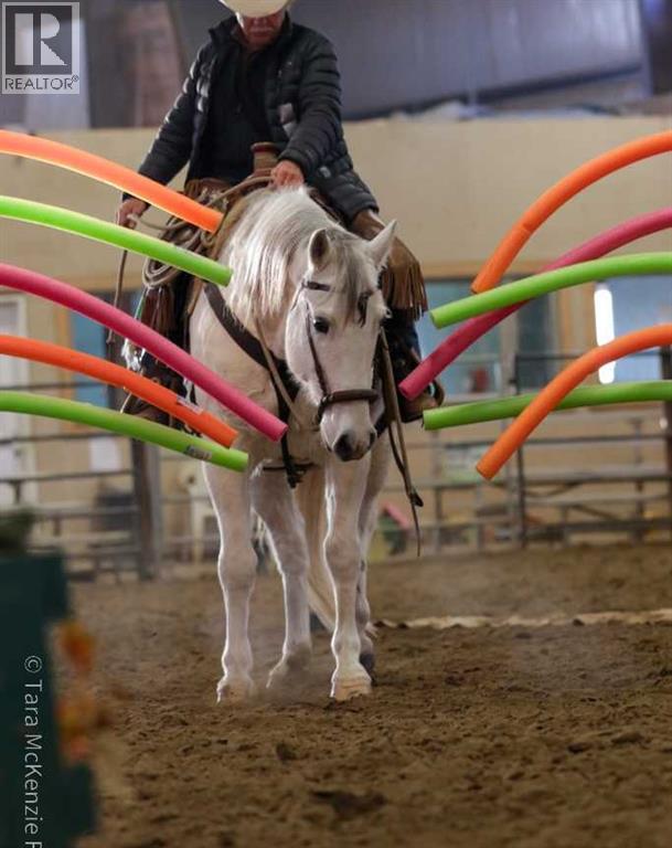 390039 Range Road 5-4, Rural Clearwater County, Alberta  T0M 0C0 - Photo 35 - A2100749