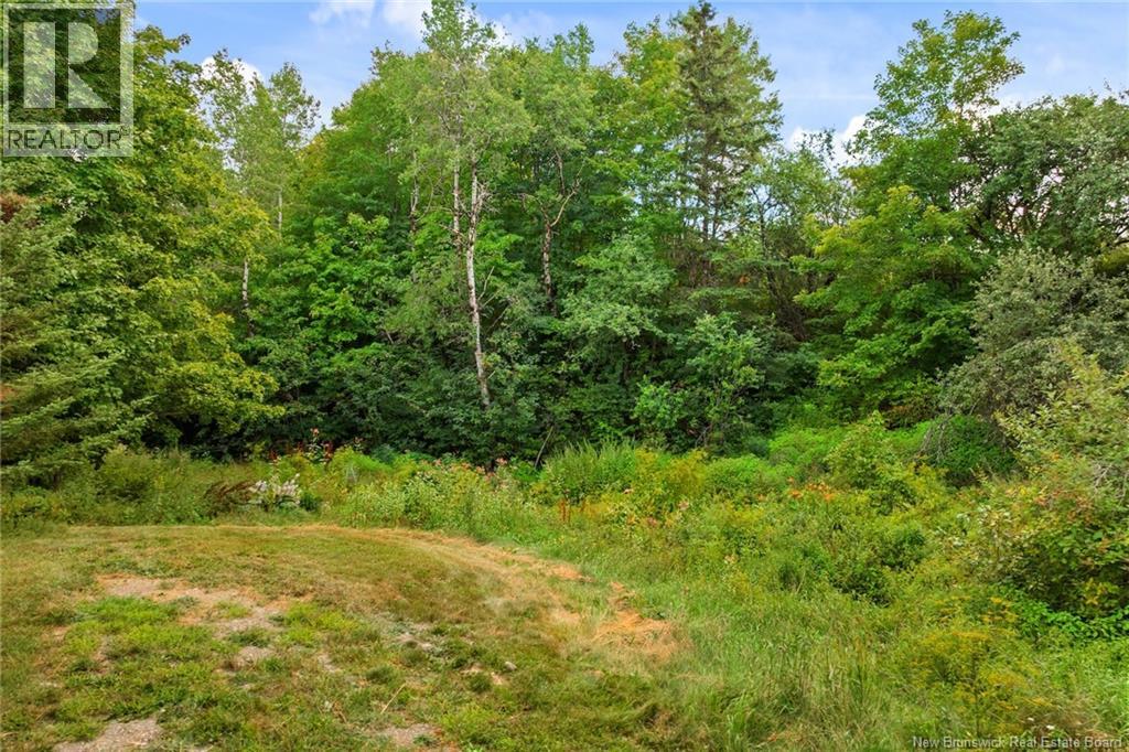 18 Howland Ridge Road, Millville, New Brunswick  E6E 1Y2 - Photo 43 - NB124462