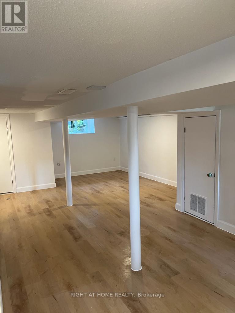 Basment - 41 Norton Avenue, Toronto, Ontario  M6E 1E1 - Photo 2 - W12670804