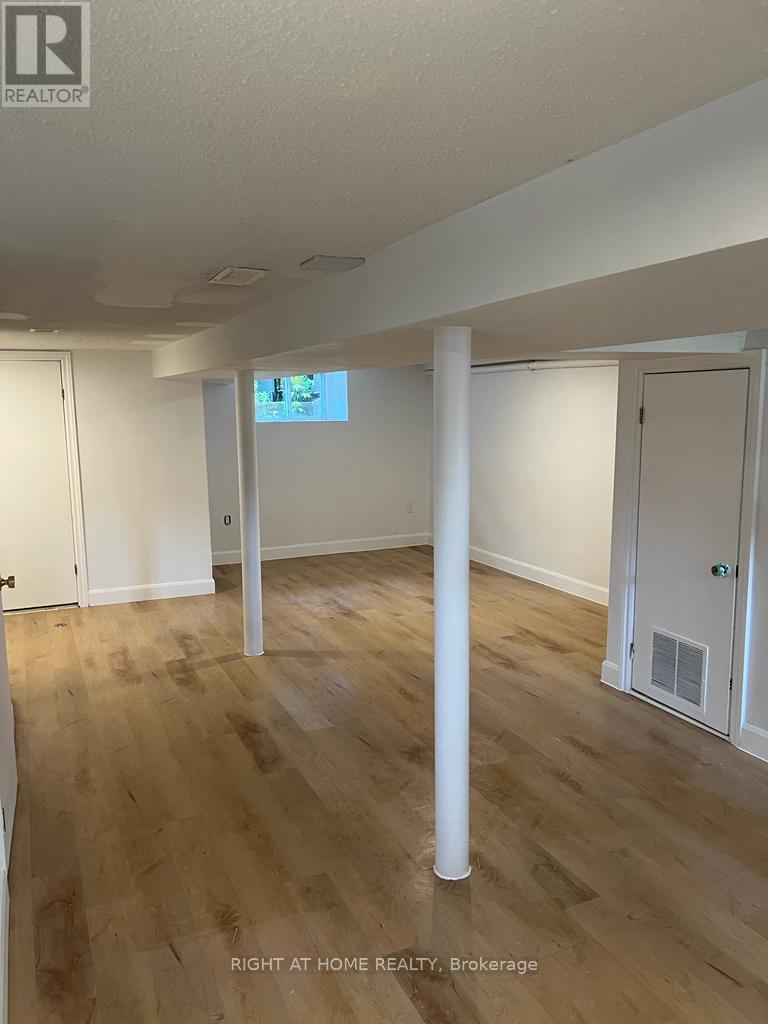 Basment - 41 Norton Avenue, Toronto, Ontario  M6E 1E1 - Photo 3 - W12670804