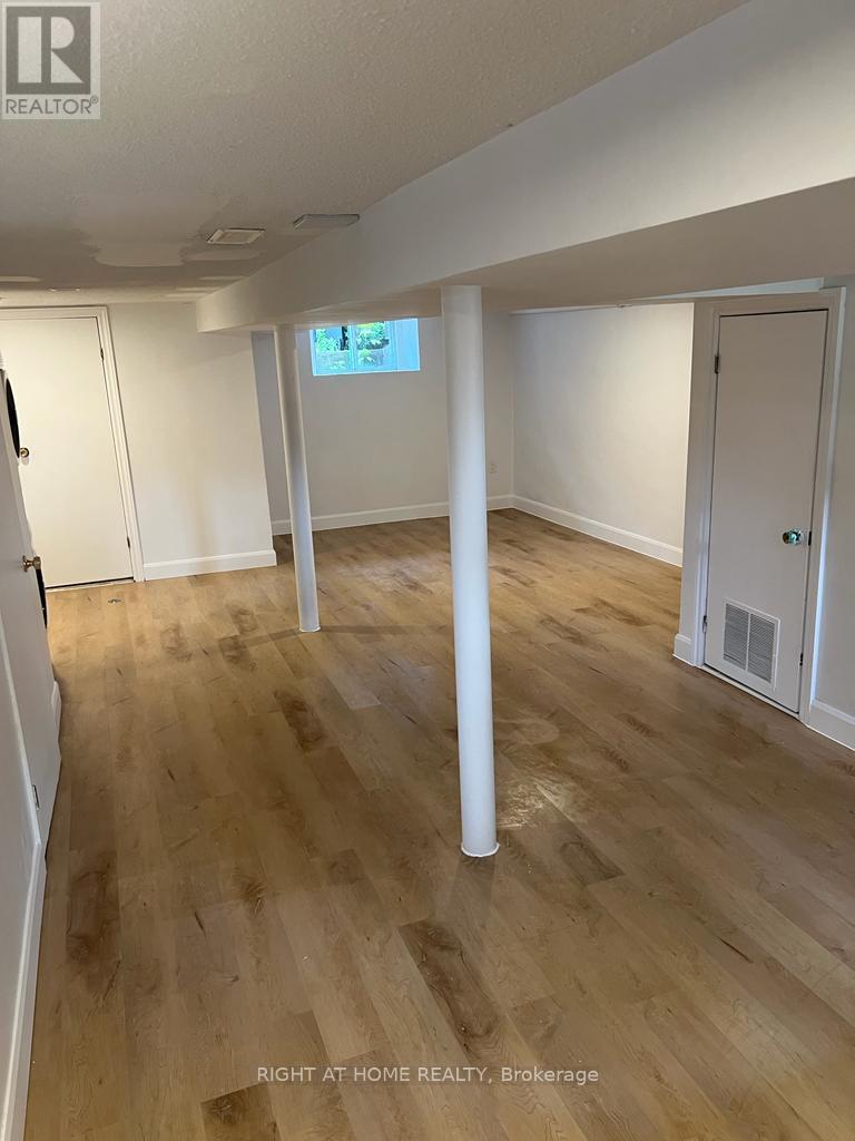 Basment - 41 Norton Avenue, Toronto, Ontario  M6E 1E1 - Photo 4 - W12670804