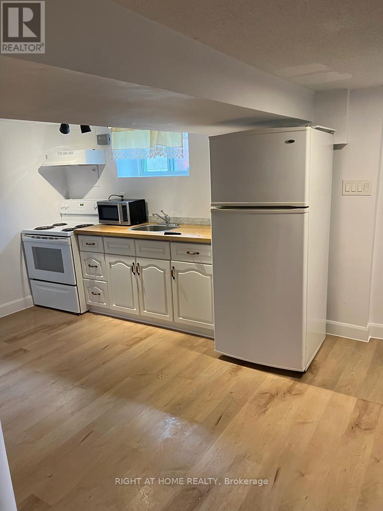 Basment - 41 Norton Avenue, Toronto, Ontario  M6E 1E1 - Photo 7 - W12670804