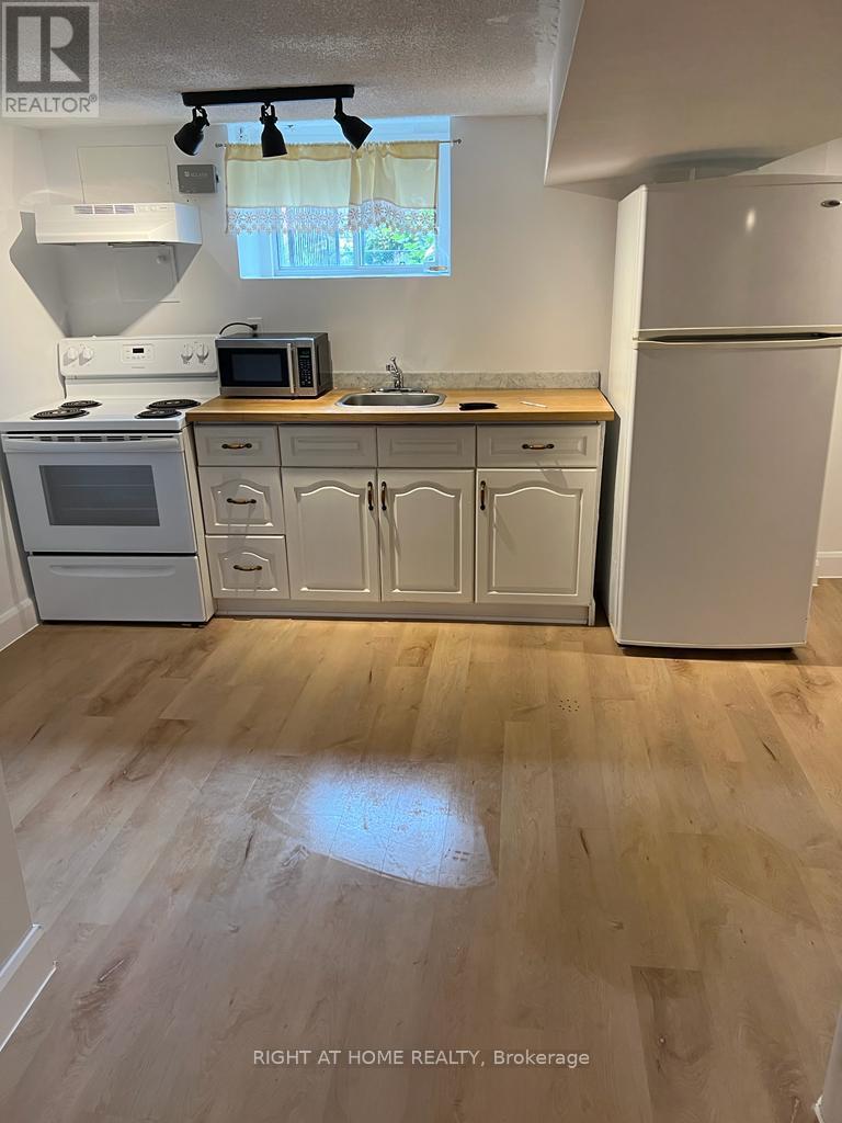 Basment - 41 Norton Avenue, Toronto, Ontario  M6E 1E1 - Photo 8 - W12670804