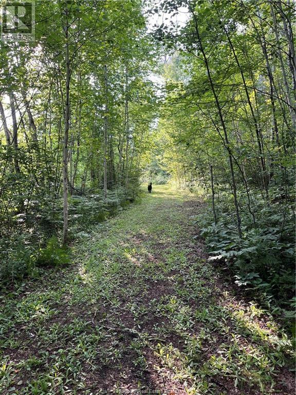 145 Sabourin Street, Greater Sudbury, Ontario  P3E 4N1 - Photo 9 - 2126001