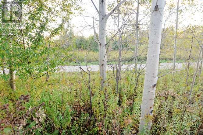 150 Winters Way, Shelburne, Ontario  L9V 3Y1 - Photo 50 - X12670880